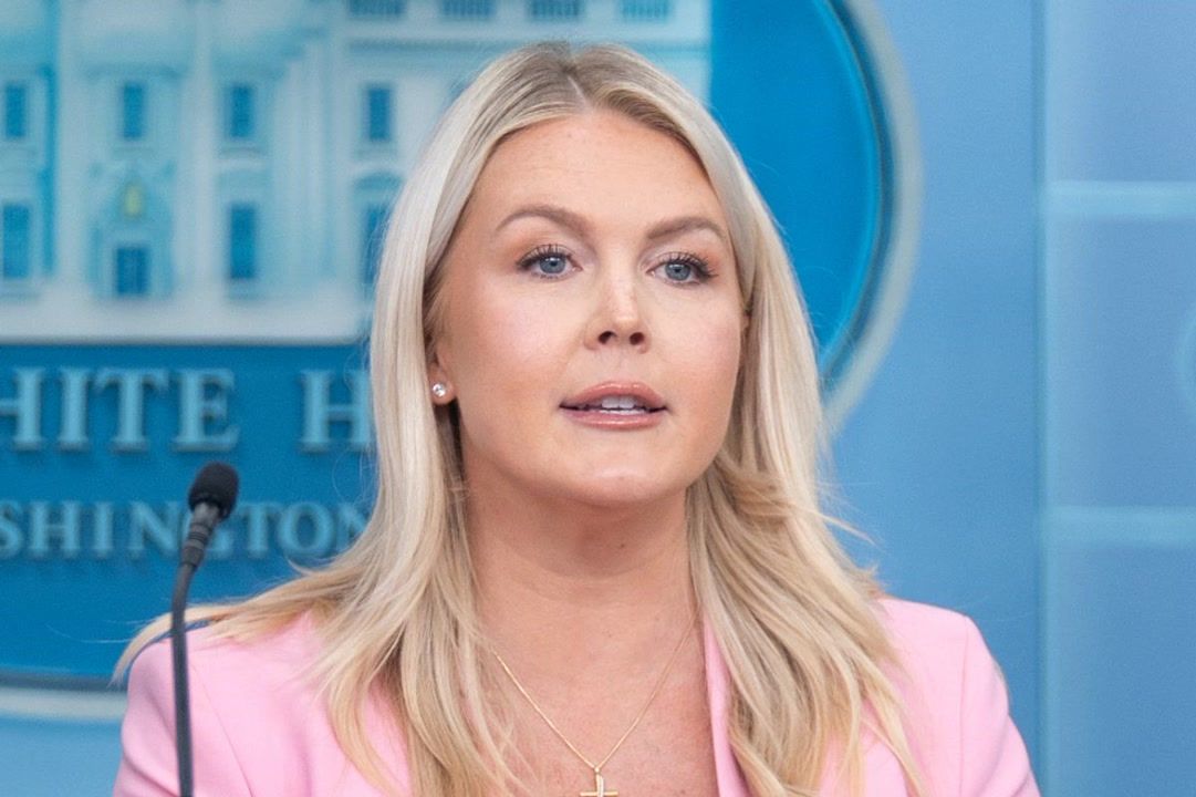 Karoline Leavitt's Trump image prompts critics' 'diaper' claims