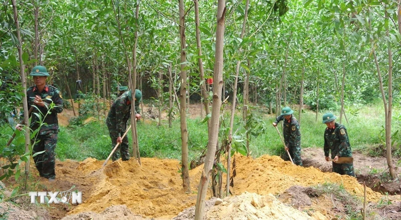Quảng Trị: Quy tập 13 hài cốt liệt sỹ thuộc Trung đoàn 88, Sư đoàn 308