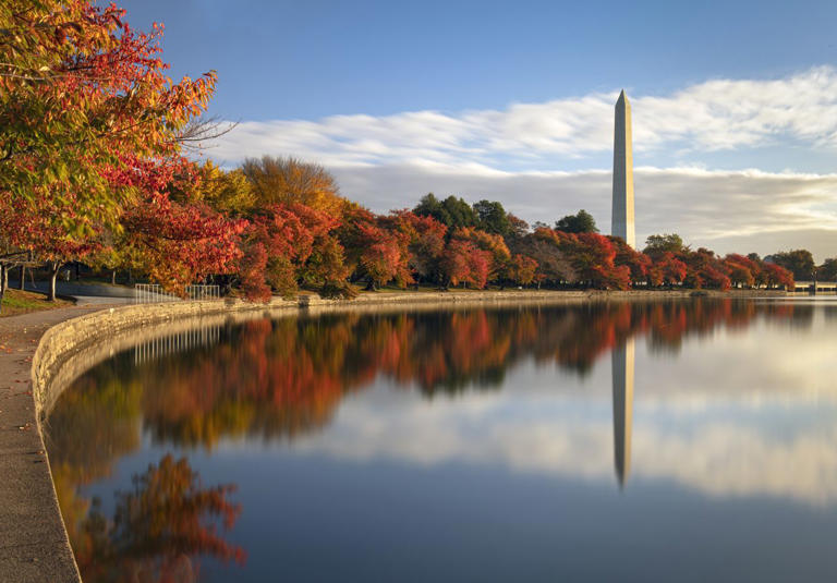 What temperature makes leaves change color?