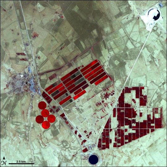 Since 1984, giant pipes beneath the Sahara have drained an ancient ...