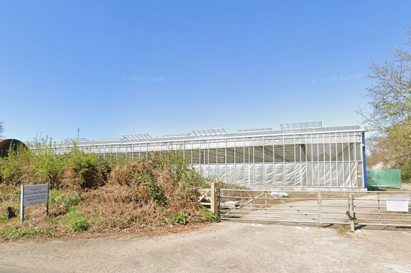 30-home neighbourhood planned for former Chobham plant nursery