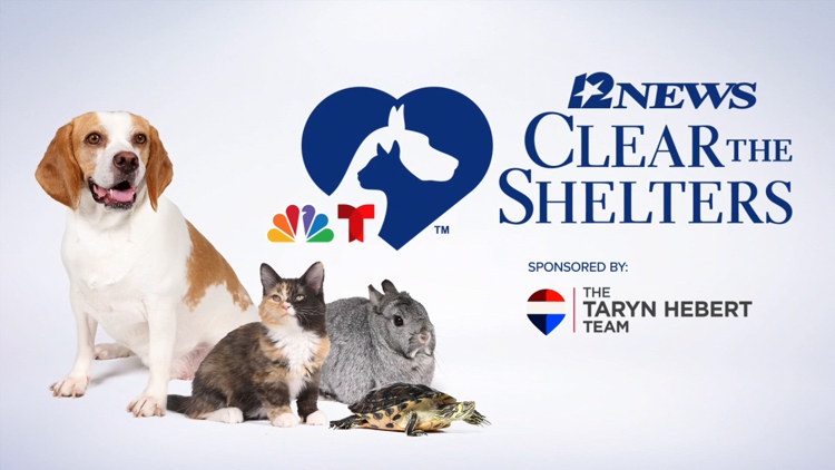 12News partners with Southeast Texas shelters for 12th annual Clear the Shelters adoption drive