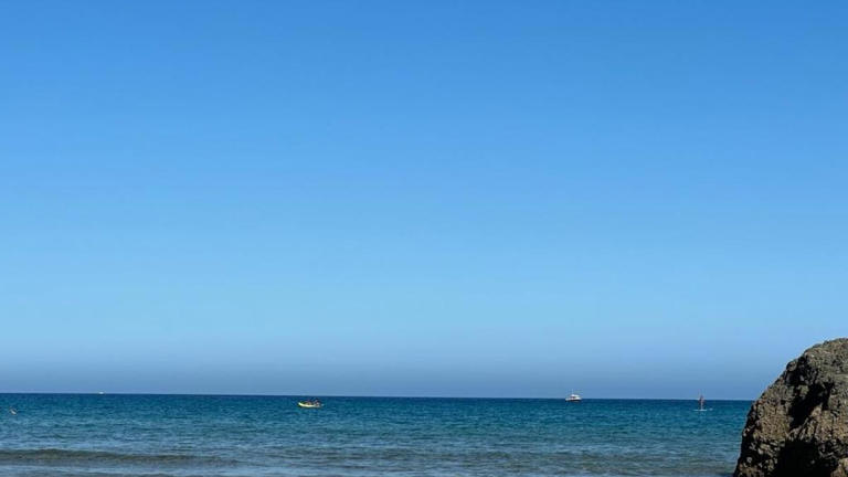  Un tiburón obliga a cerrar una playa en Vizcaya tras ser avistado junto a la orilla 