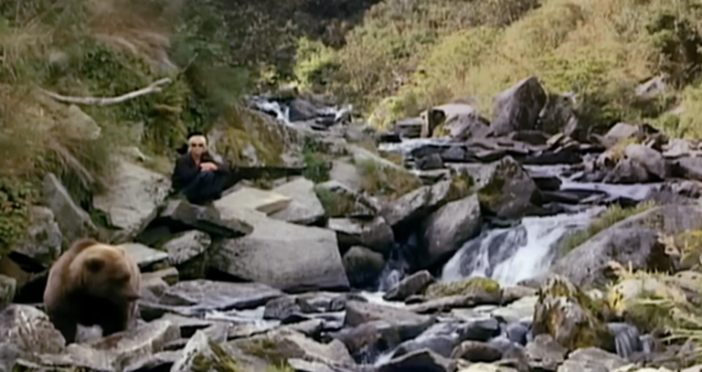 A 450 kg Grizzly Bear Attack – Seconds Later He is Eaten Alive