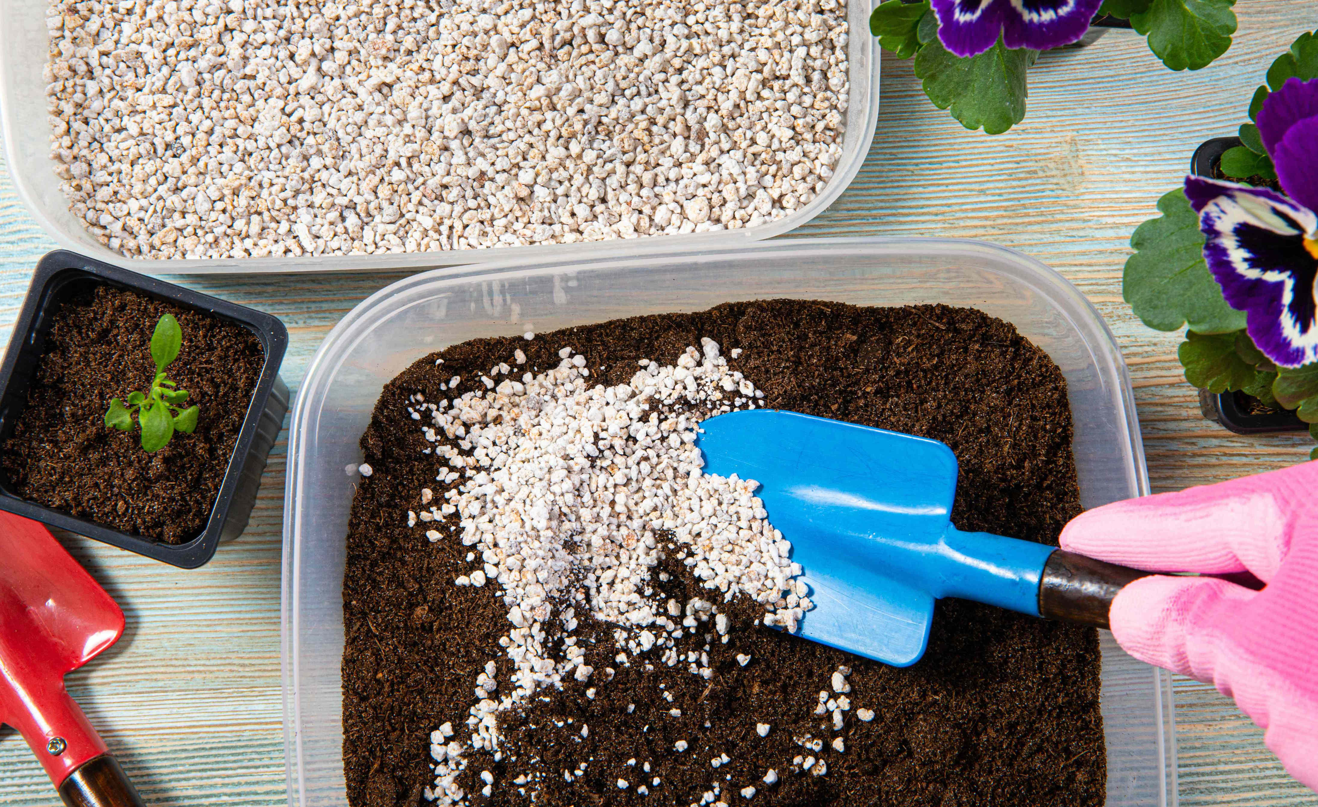 What is perlite? Here’s why it’s often in your potting soil