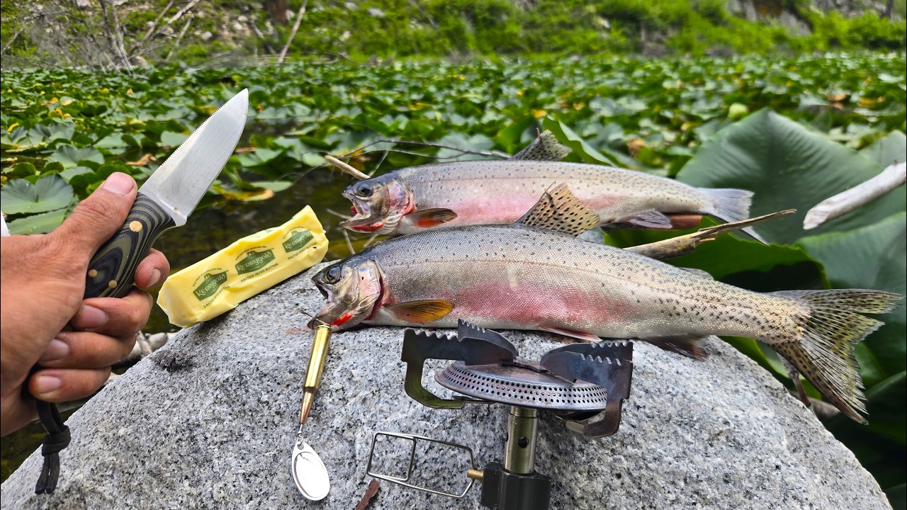 New species catch and cook! Trout fishing a tiny remote mountain lake
