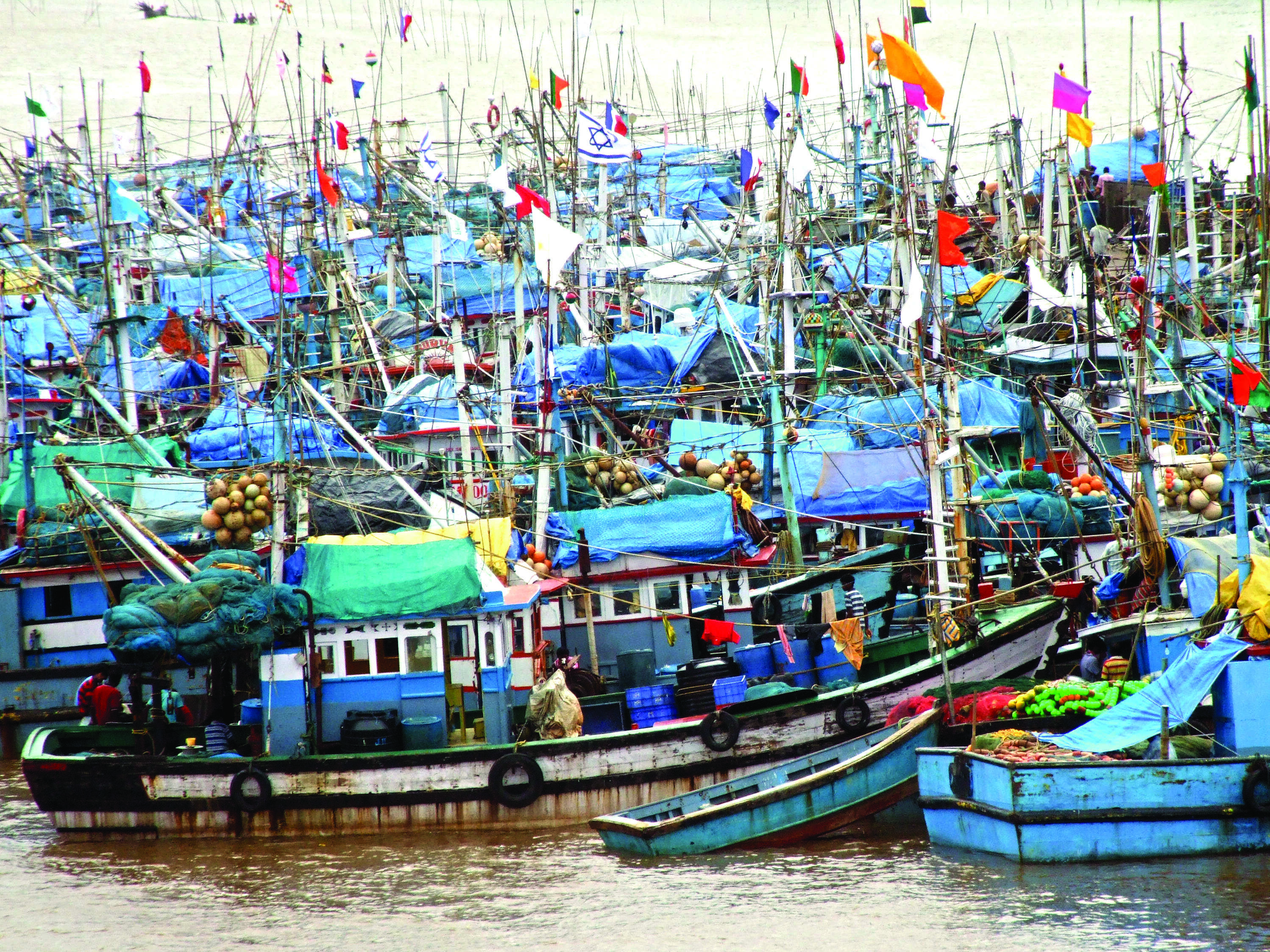 Rough seas keep most of Goa’s mechanised fishing fleet anchored