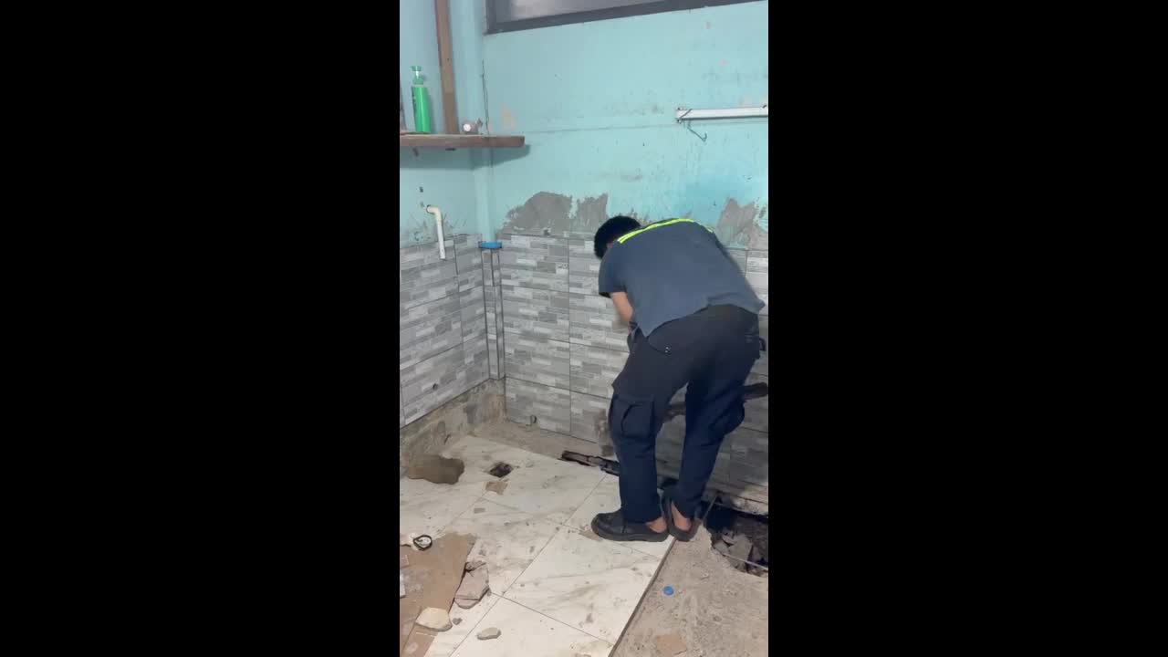 Wildlife rescuers smash floor to reach python stuck underground