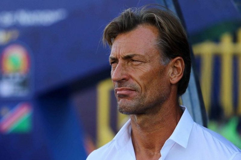 herv-renard-returns-to-ivory-coast-as-head-coach-11-years-after-afcon