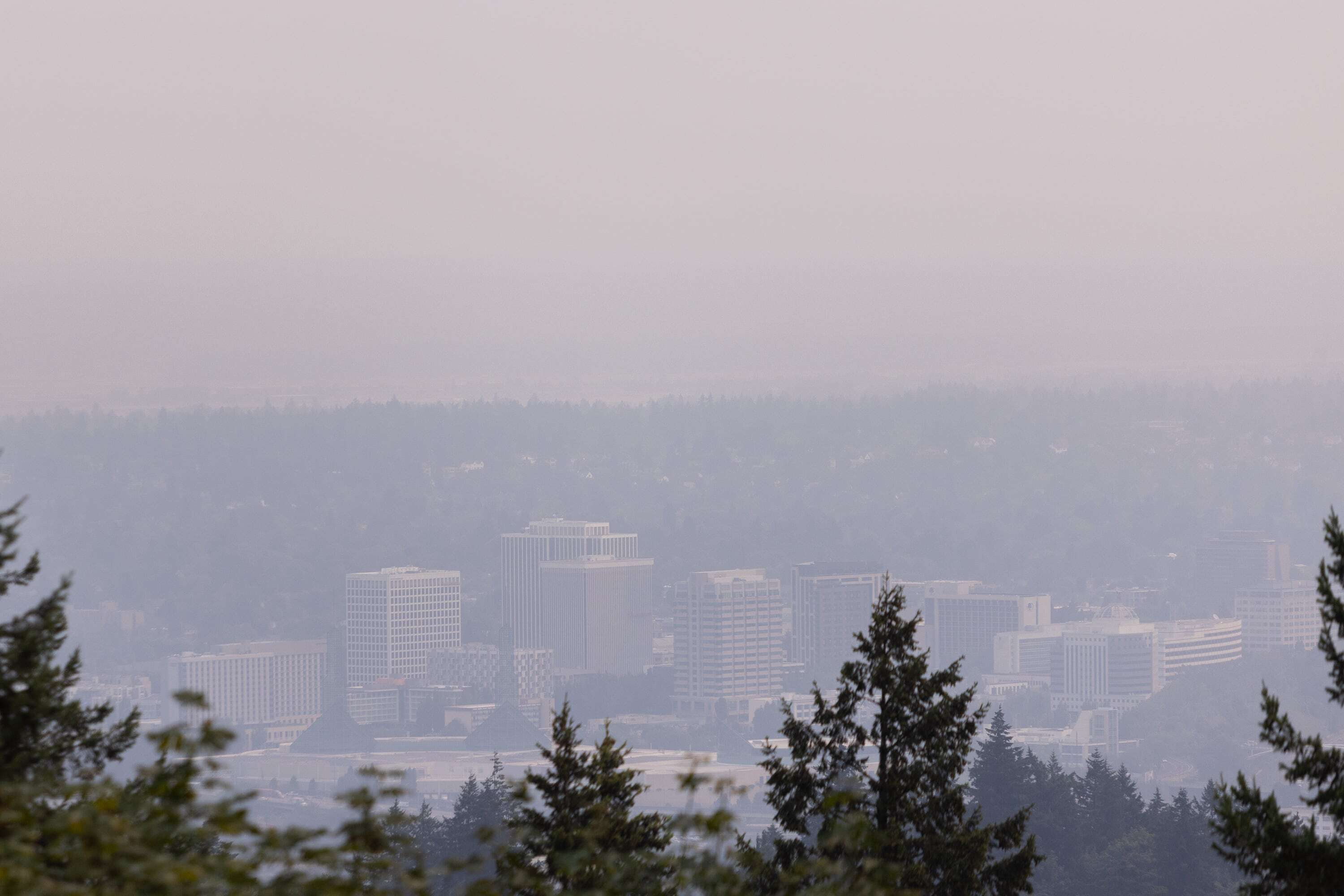 Here's what is canceled in the Portland area due to wildfire smoke