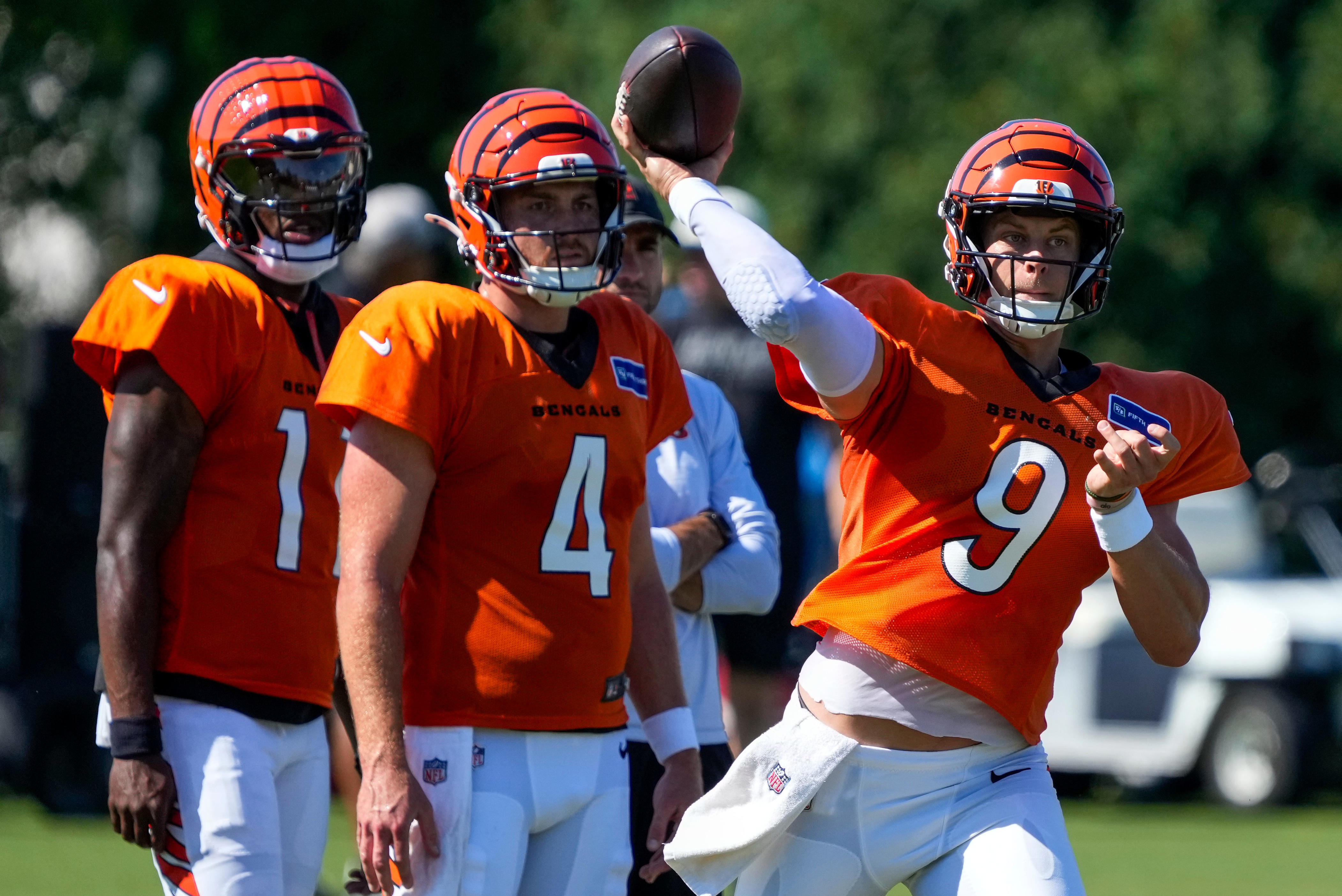 See Cincinnati Bengals projected record, division rank from USA Today