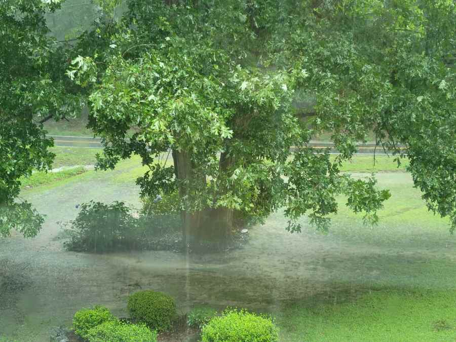 Photos: Heavy rain, flooding sweeps across Central Virginia