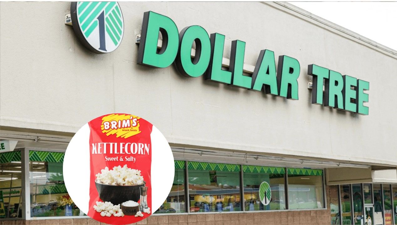 Score delicious Dollar Tree seasonal fall snacks for under $1.50