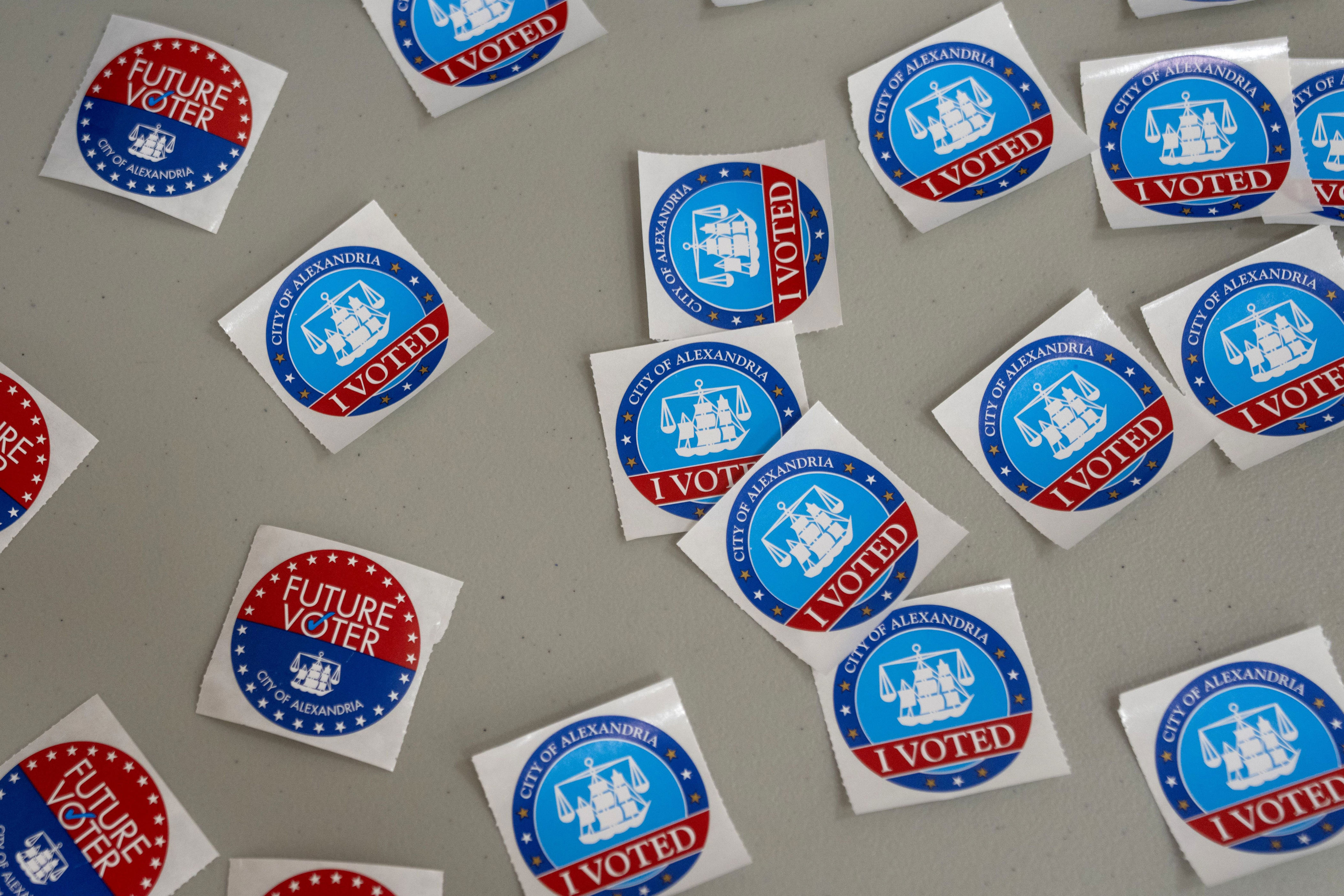Mizusawa wins GOP Senate primary in Virginia