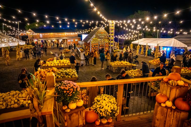 Europe's largest pumpkin picking village at Tulleys Farm will return with new attraction