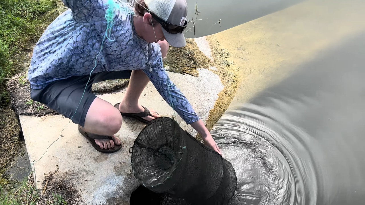They dragged an alien-looking creature from the weeds... 'We got two!'