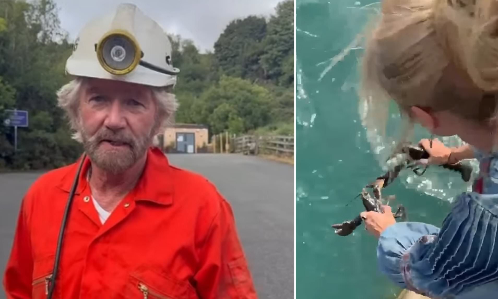 Noel Edmonds responds to backlash over viral lobster clip with defeated post