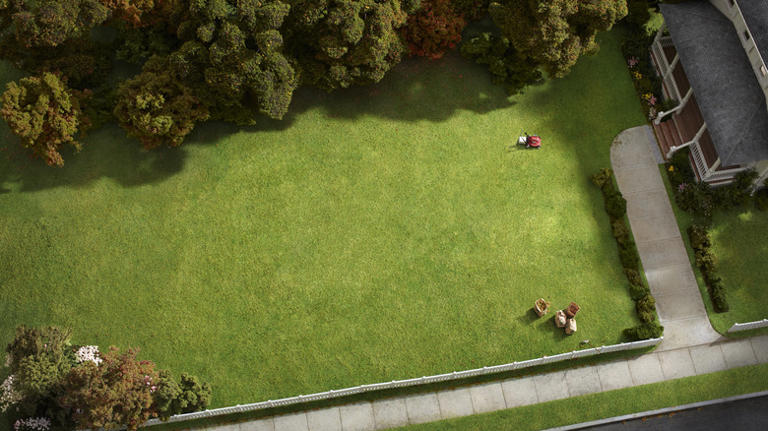 How long it actually takes to revive a dying lawn
