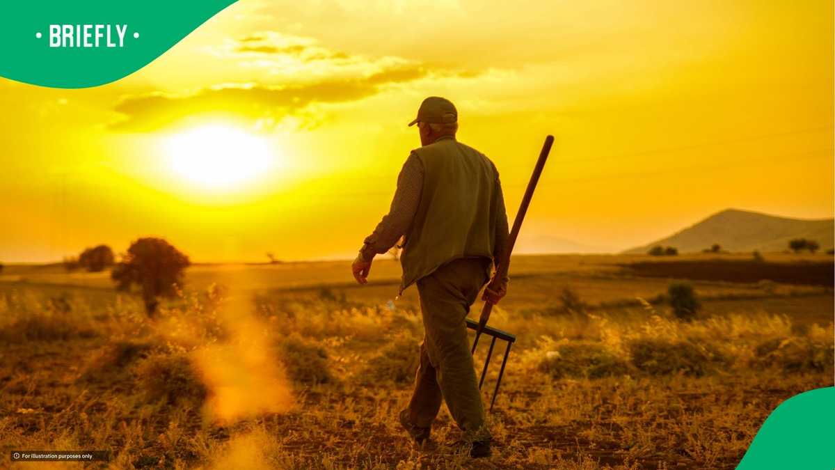 South Africans weigh risks of H-2A visa farm jobs in the US against salary