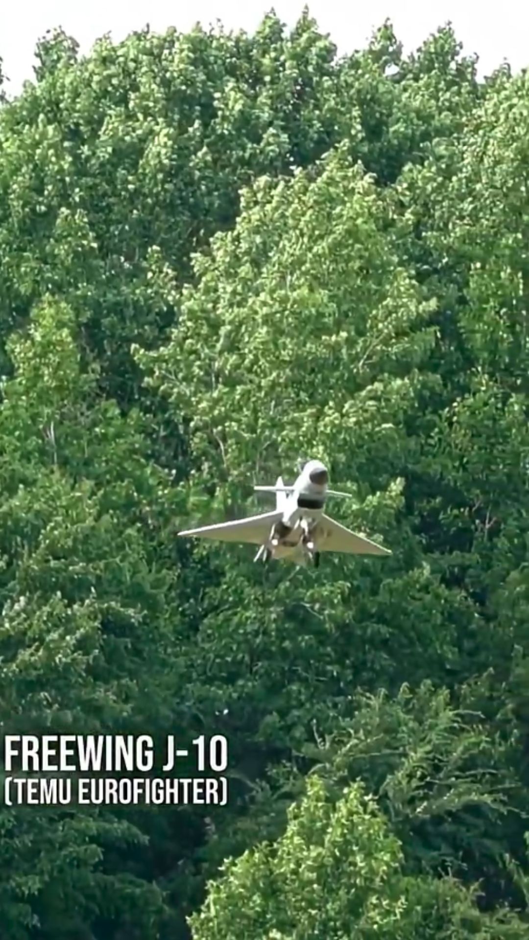 J-10 Vigorous Dragon RC plane brings modern aviation to life