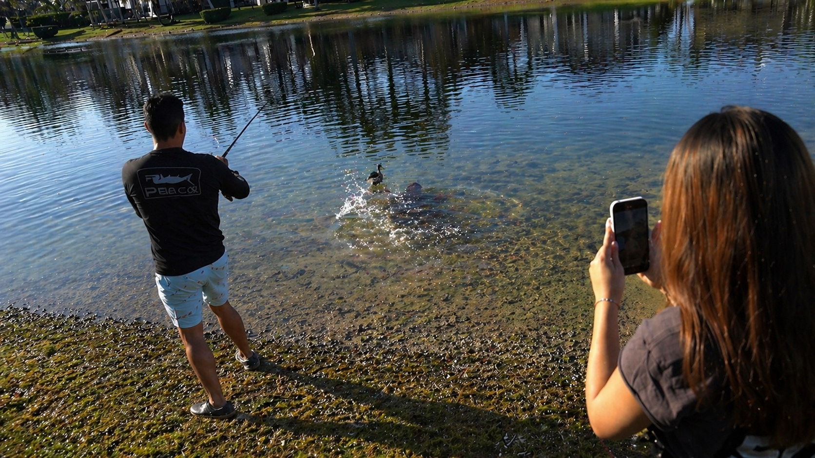 They were just fishing... when fish ate a duck right before their eyes