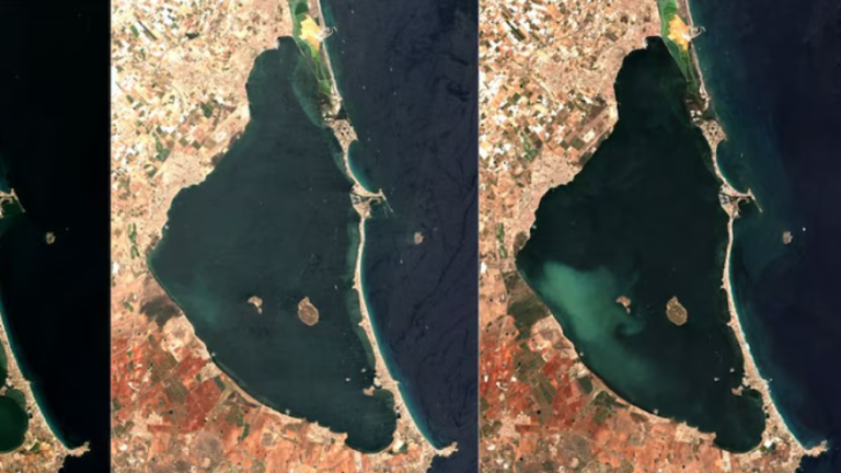 Qué es la «mancha blanca» que ha aparecido en el Mar Menor y por qué estaría destruyendo el fondo marino 