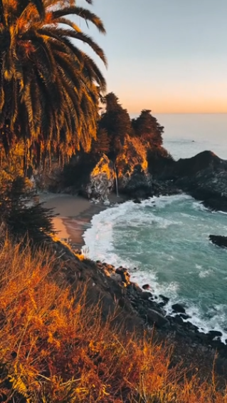 capturing-nature-through-better-photography-techniques