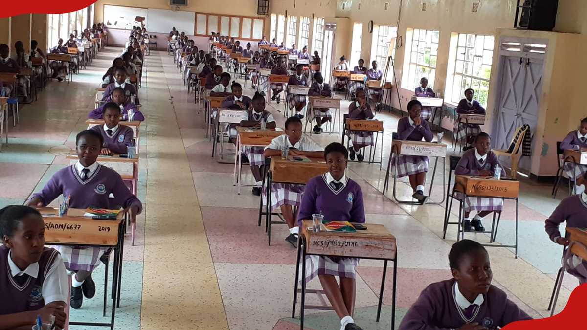 KNEC makes available digital copy of 2025 KCSE certificates, how to access
