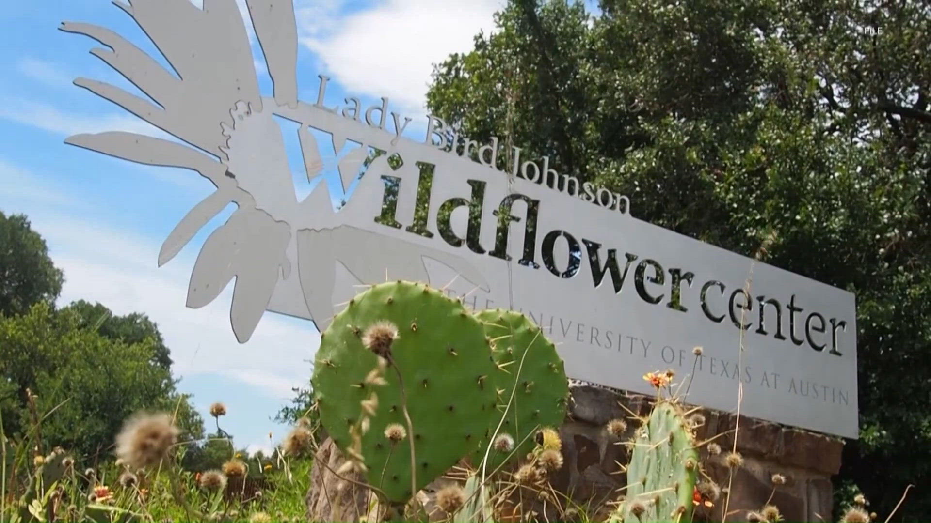 New York Times highlights Austin's Lady Bird Johnson Wildflower Center ...
