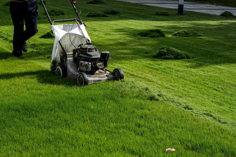 We asked landscaping pros if you should edge or mow your lawn first ...