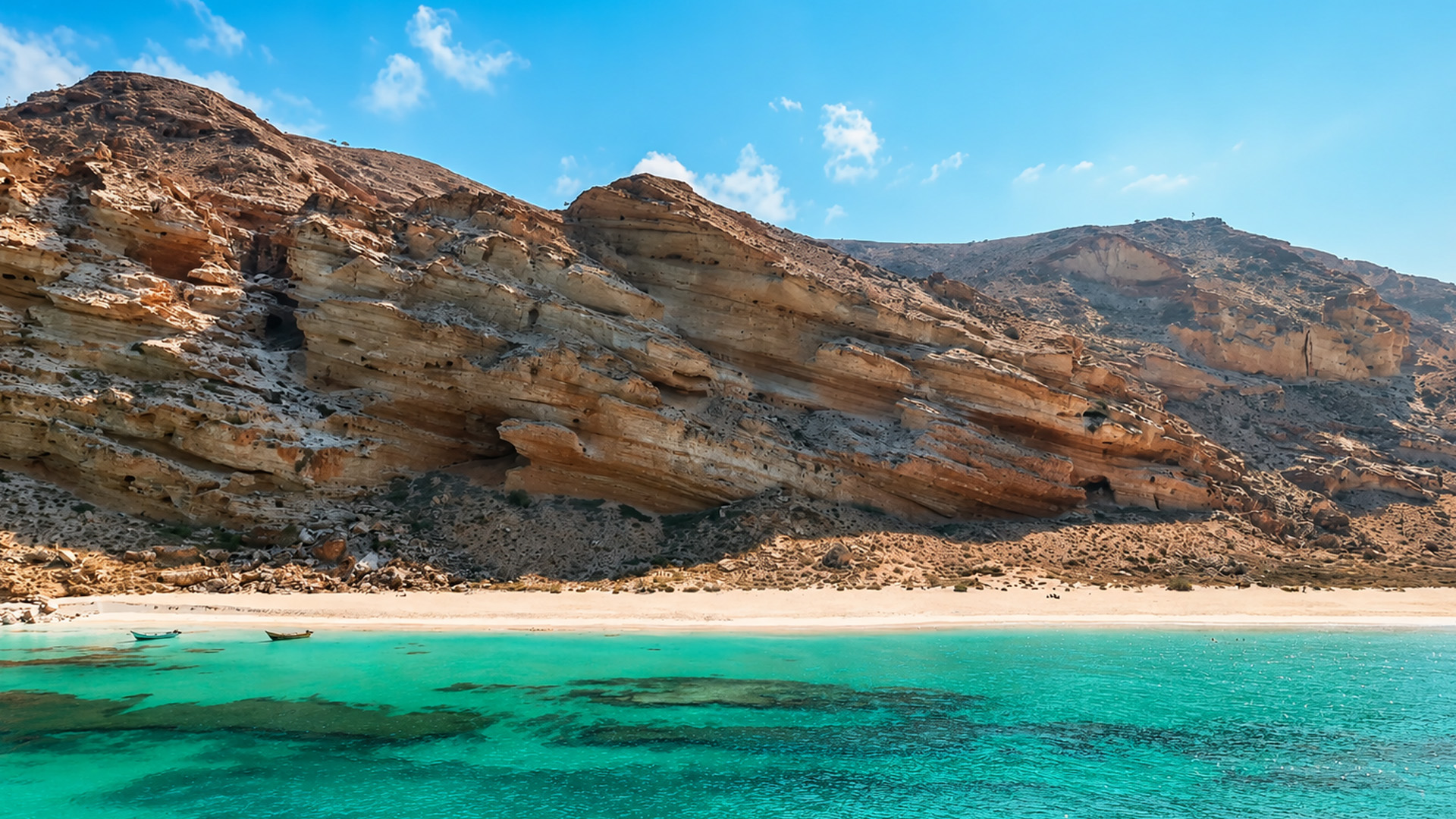 What shaped these unusual coastal cliffs?