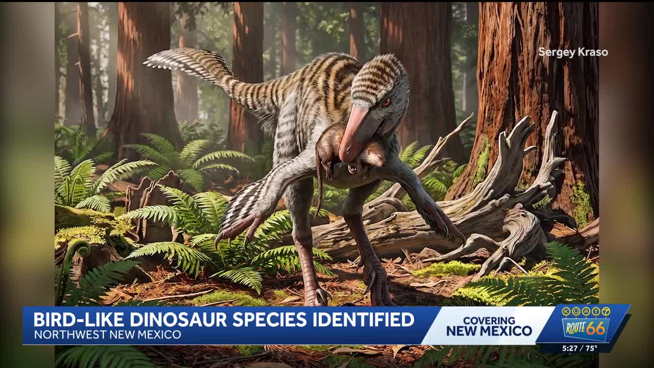 New dinosaur species identified in New Mexico
