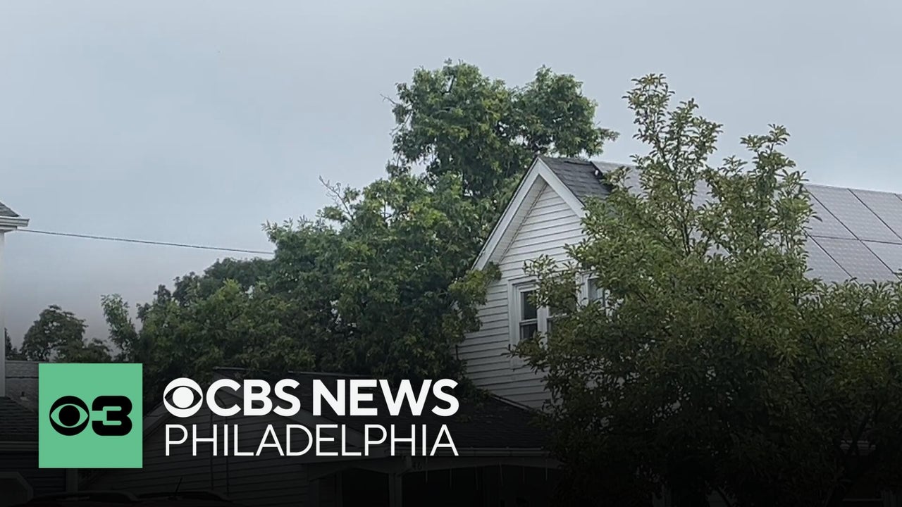 Tree falls on house in Willingboro, New Jersey, displacing family