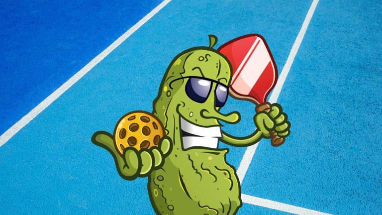 Al’s $90 graphite pickleball paddle just dropped to $13