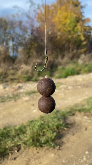 Simple carp rig guide for more confident fishing sessions