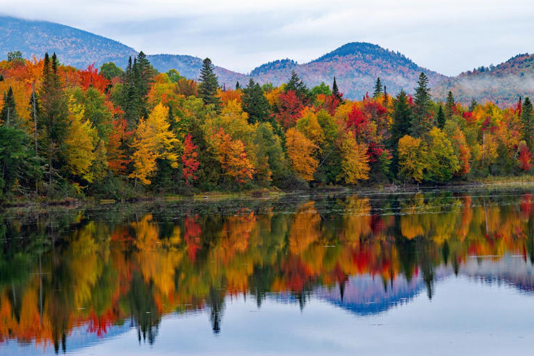 The Old Farmer’s Almanac fall foliage map shows when colors will peak ...