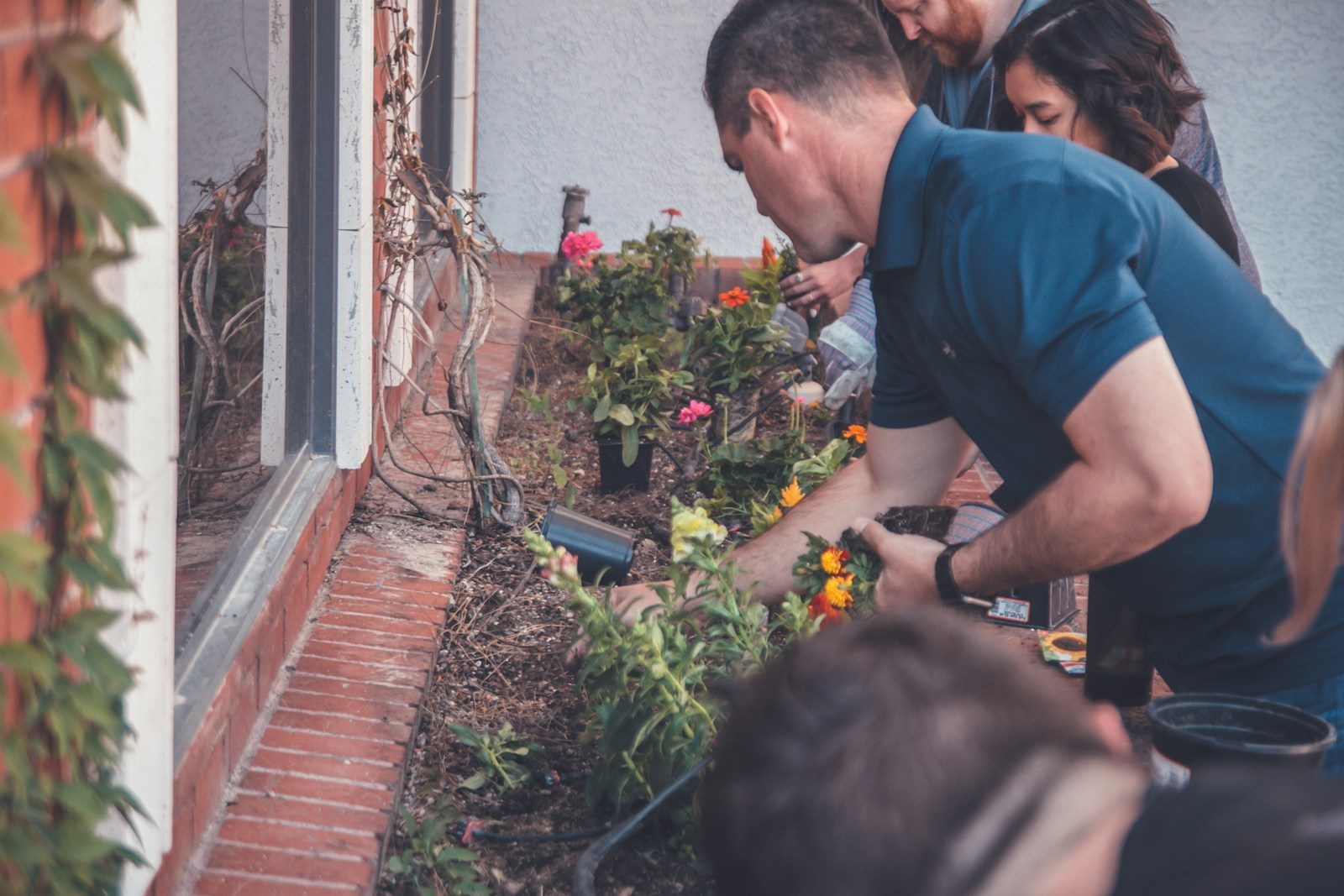 Smarter yard cleanup hacks that make battery string trimmers work like pros