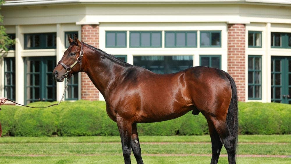 Quality Road leads Lane's End stallion roster in 2027