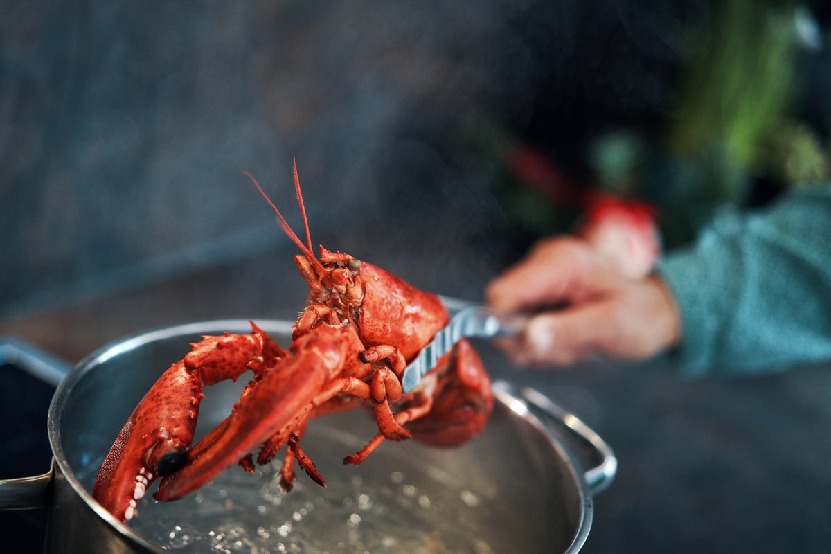 Court battle over lobster being placed on 'red list' hits roadblock