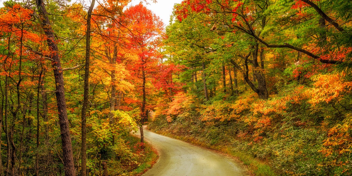 The Old Farmer S Almanac Fall Foliage Map Shows When Colors Will Peak