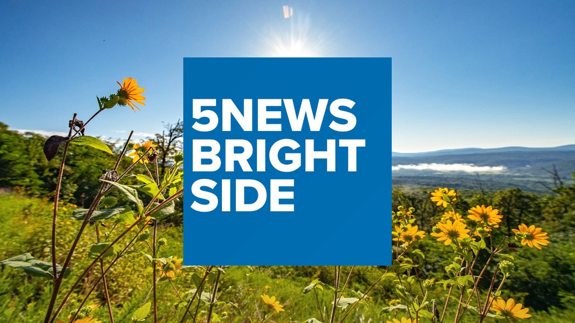 The 5NEWS bright side