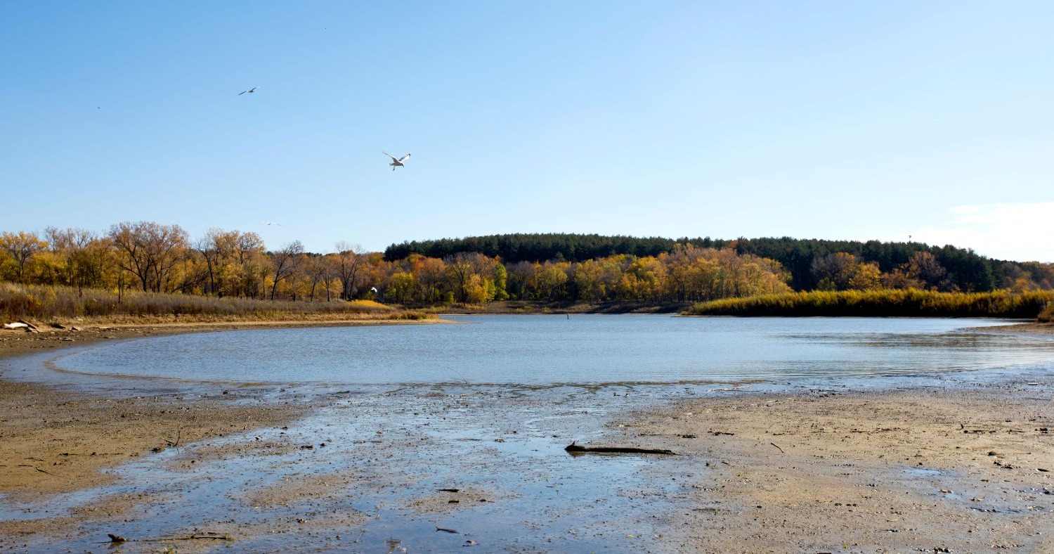 Iowa beach pollution advisories linked to factory farms
