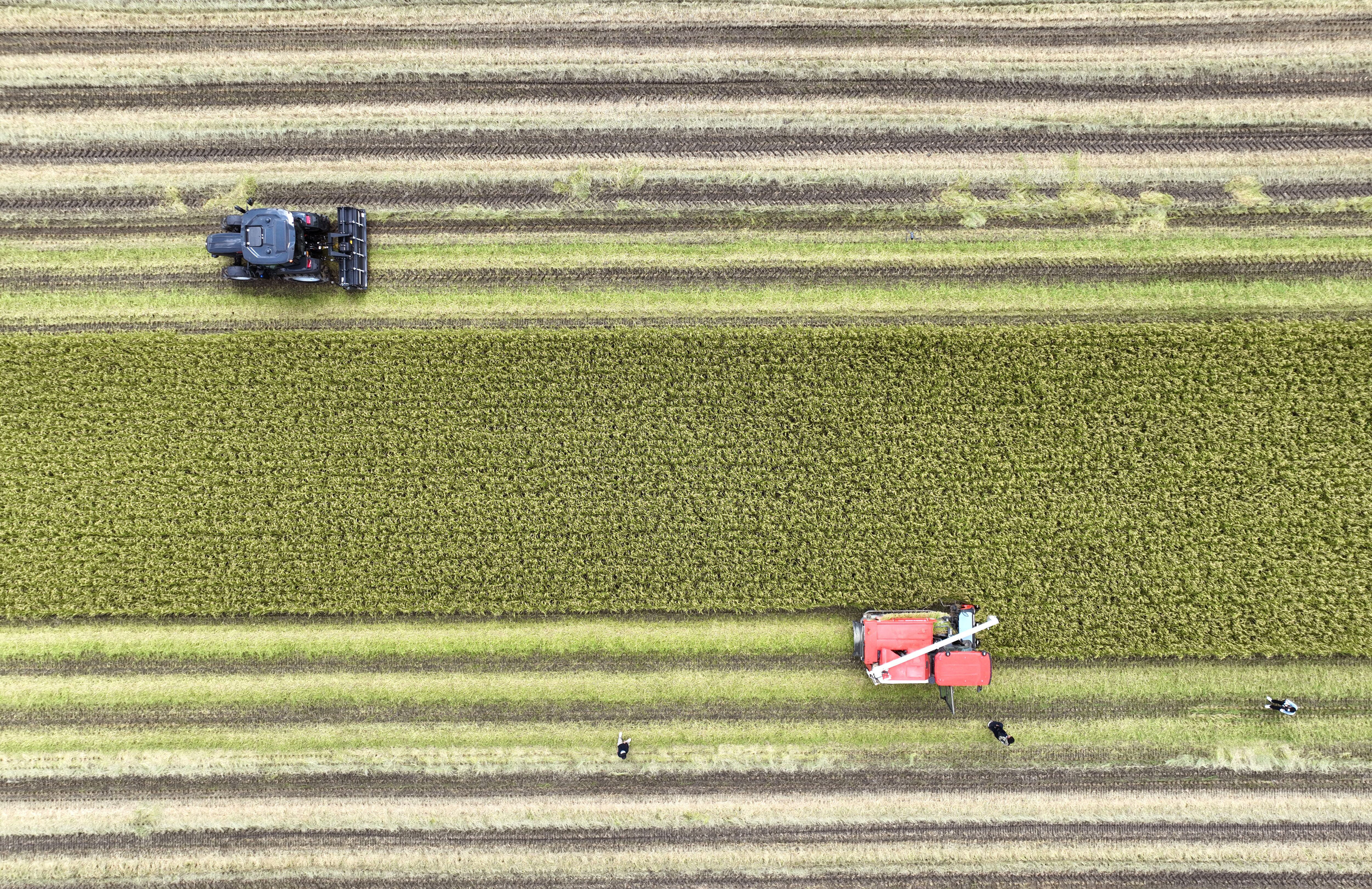 Exclusive: Daedong exits Chinese operations, invests in AI tractors