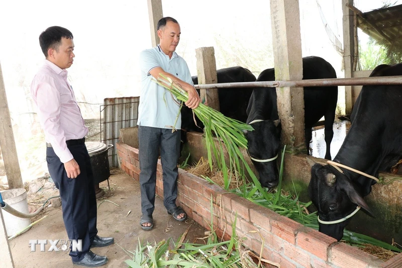 Tạo sinh kế, mở đường thoát nghèo cho đồng bào Khmer