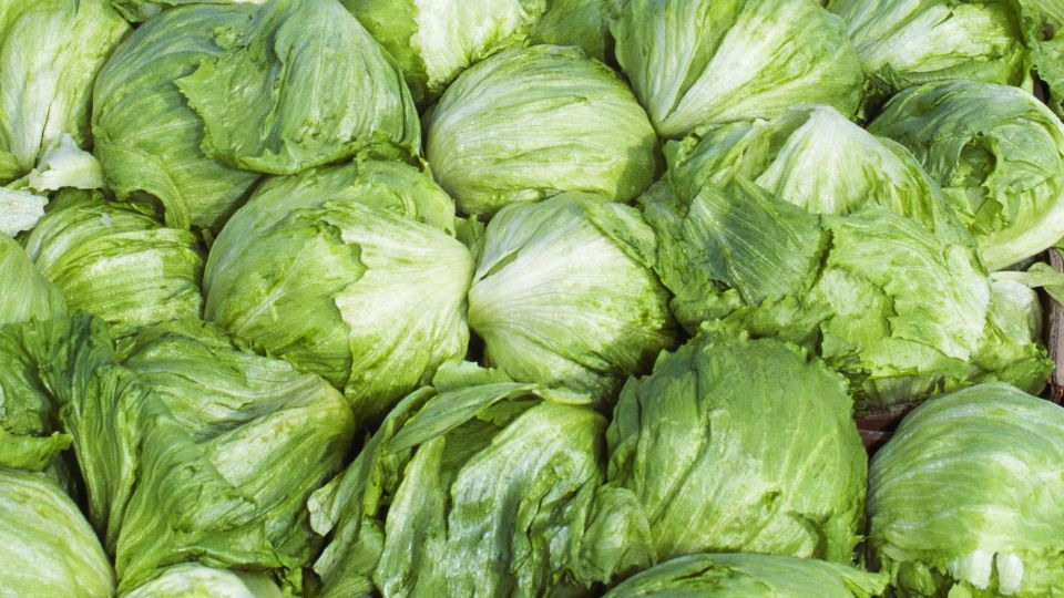 Lettuce is back on the menu in Michigan as cyclospora cases decline, state health department says