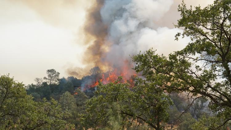 Gann fire burns into third day