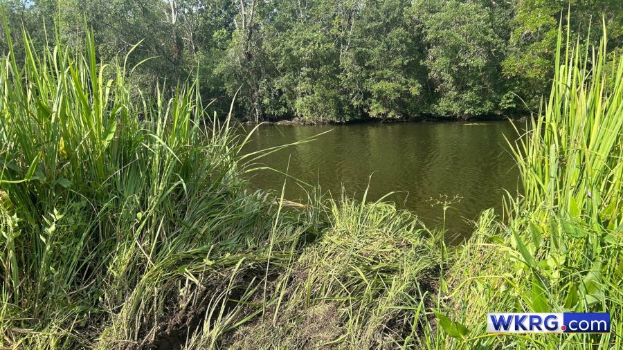 Stolen vehicle plunges into Dog River after Mobile police chase