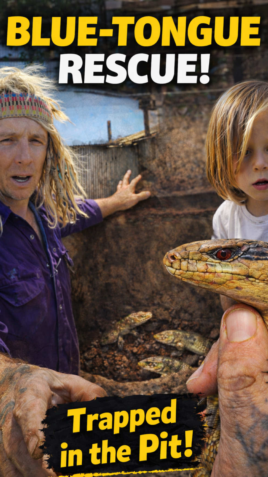 Blue tongue lizard rescue from hidden pit