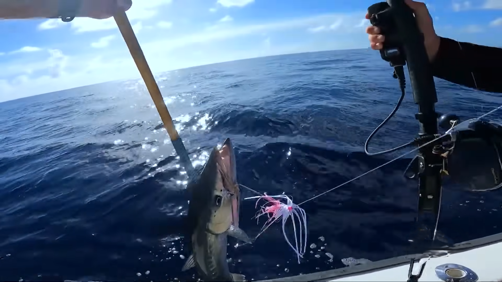 A violent strike buried the line deep beneath the boat. How is that ...