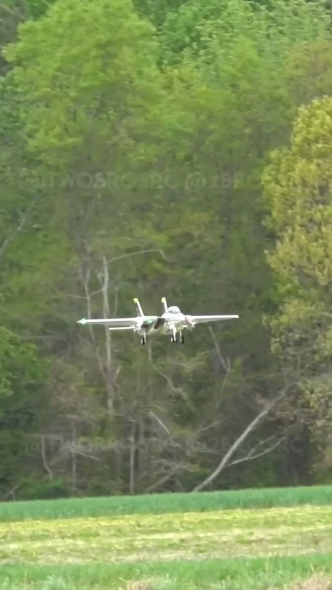 F-14A Tomcat model aircraft showcases impressive RC flying skills